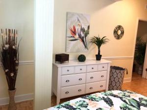 2 Bedroom Apt Overlooking Dunedin Town Square NO KIDS, NO PETS