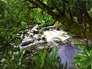 3 Bed in Fort William CABIN