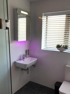 Pinewood #Edwinstowe