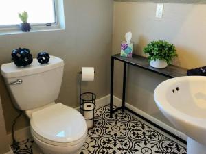 The Nest Downtown Dunedin NO KIDS, NO PETS