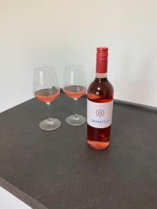 Apartma na vinski kmetiji 