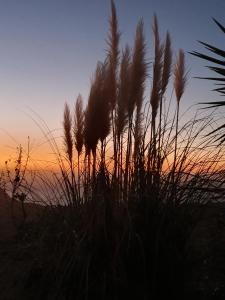 Studio à la campagne