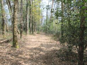 Maisons de vacances Gite Bert, 6 pieces, 14 personnes - FR-1-489-485 : photos des chambres