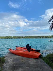 Casa Abeii. Lugar mágico frente a la laguna