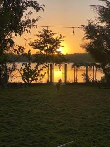 Casa Abeii. Lugar mágico frente a la laguna