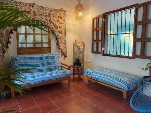 Casa Abeii. Lugar mágico frente a la laguna