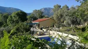 C.R. Tejar de Arriba - Cuevas del Valle