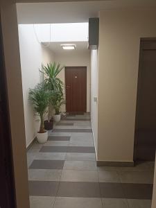 Rajtarska Apartament