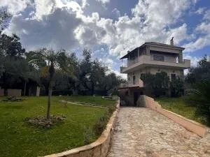 VS Villa Killini - 基利尼