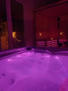 Hedonic Wellness Apartmani