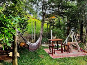 Paraiso das Araucárias