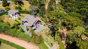 Paraiso das Araucárias