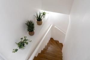 Appartements Le petit Giennois : photos des chambres