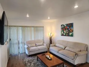 Incredible Waitakere View - Oratia