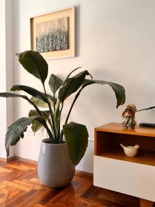 Apartamento en Colón y Cañada