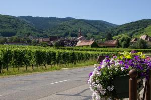 Hotels Hotel Berceau Du Vigneron : photos des chambres