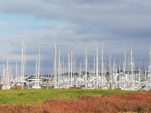 Appartements Duplex charmant au Port du Crouesty avec terrasse - FR-1-639-60 : photos des chambres