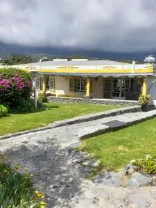 Le petit vignoble du brûlé marron - Îlet du Peter-Boot