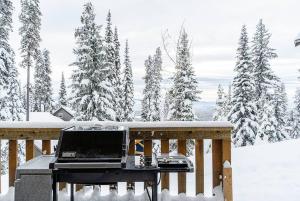 Eagle Ridge Pet-Friendly Chalet