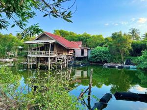 Big Hug Home-Nok kao house