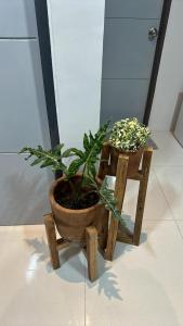 Grey Oasis Staycation 1 Bedroom