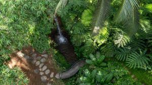 Sacred Canyon Ubud by GenuineHost