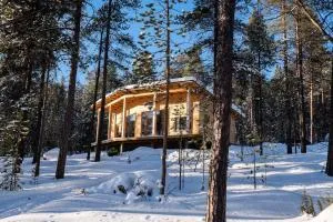 Uusi hirsimökki 7 henkilölle - Partakko