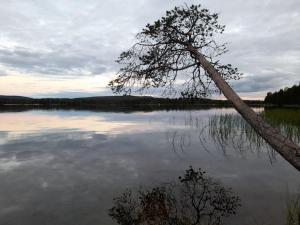 Uusi hirsimökki 7 henkilölle