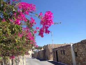 Koutsounari Traditional Cottages Lasithi Greece