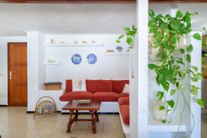 Famara Caracolillos, La Casa