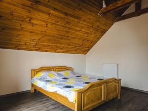 RadHouse Villa Brasov - 50 minutes from Brasov