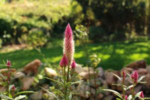 Witrivier Farmstay Self-Catering