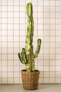 Modern 1-Bed Apt with Big Balcony near Beaches