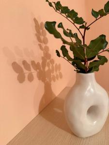 Luxury Beach House Perfect For Vacations