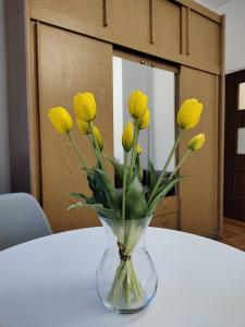 Benny 3 na wyłączność