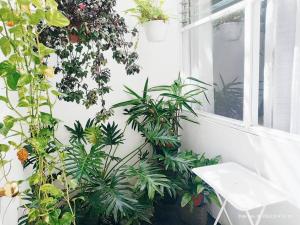 Céntrica y Acogedora Casa