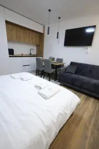 King apartments Kopaonik - 弗尔尼亚奇卡矿泉镇