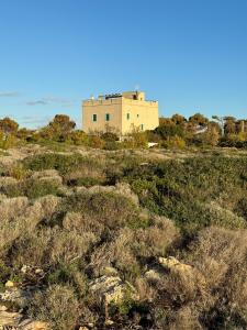 Antica Villa del Conte