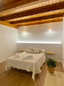 La espiga de Segovia 2