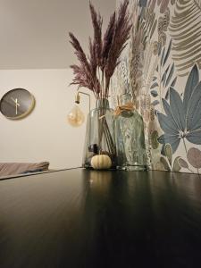 Apartamenty "Hubertówka"