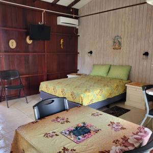 Dolphin Inn Guesthouse & Apartments