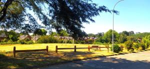 Moderno departamento en Isla Teja, Valdivia 2