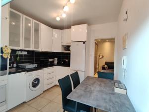 Maestro II Apartment