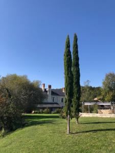 Maisons d'hotes Gite Moulin d'Olivet : photos des chambres