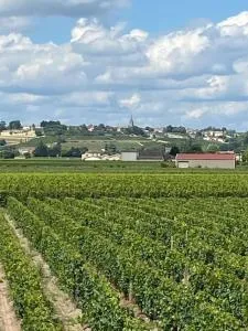 Gîte au coeur du vignoble de Saint-Emilion - Vignonet