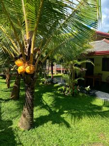 Jasmin Homestay Marakolliya