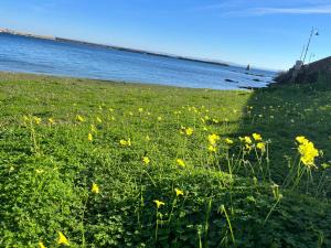 Stazzo Casa Bianco Fly img25