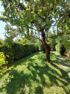 Casa Malina Ferienhaus im Grünen am Gardasee