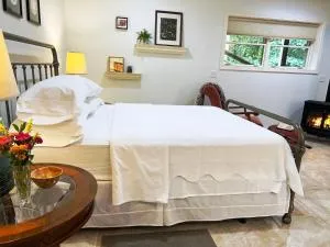 Robins Nest 10 min to Asheville Biltmore bkfst hot tub fireplace sparkling water - Juno