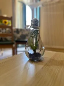 Bengiorne! Casa Ginestra - Casale